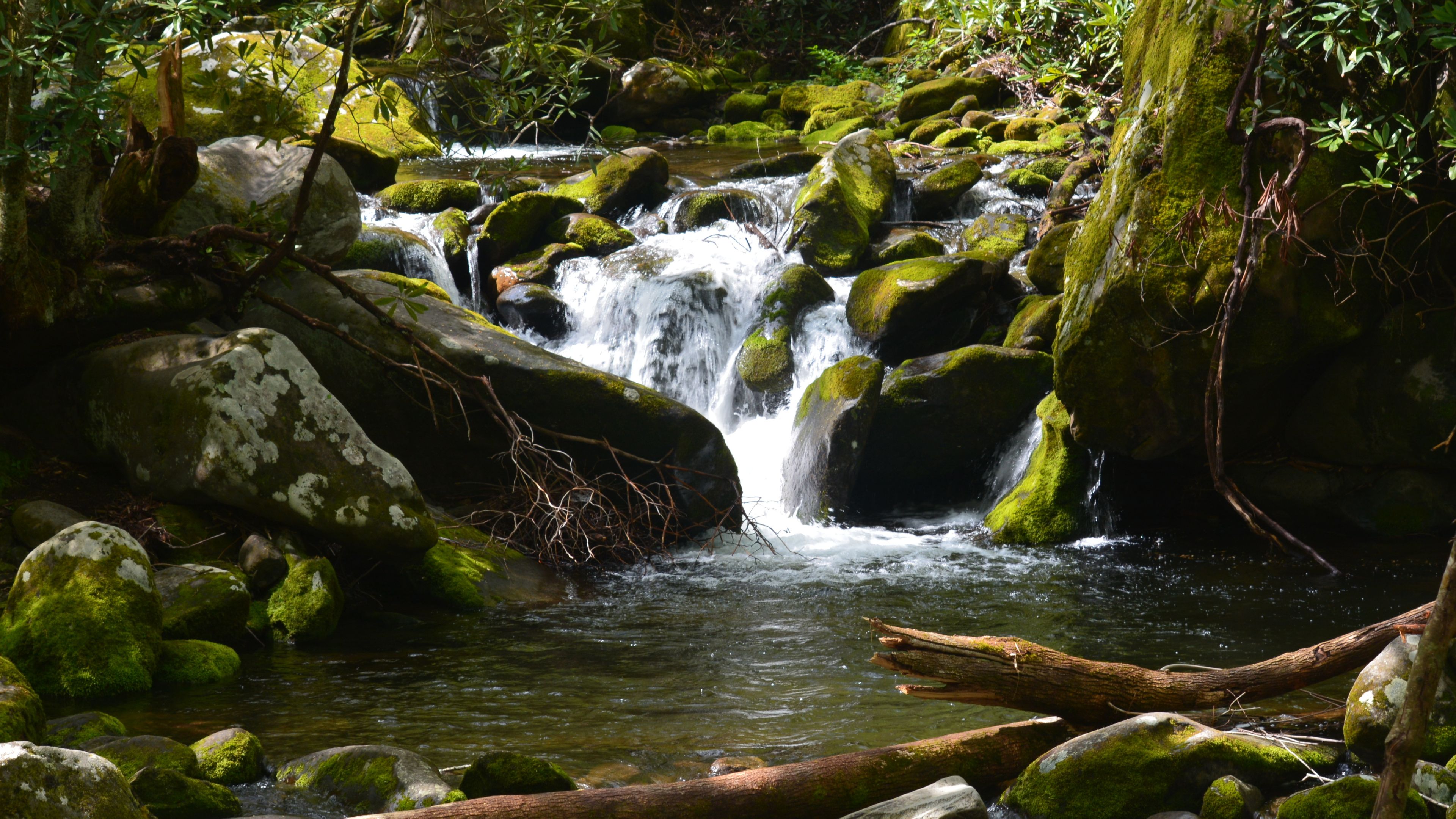 A serene stream flows through a rocky forest landscape, surrounded by moss-covered stones and lush greenery. The water cascades gently over the rocks, creating small waterfalls. Fallen branches lie near the water, adding to the natural charm.