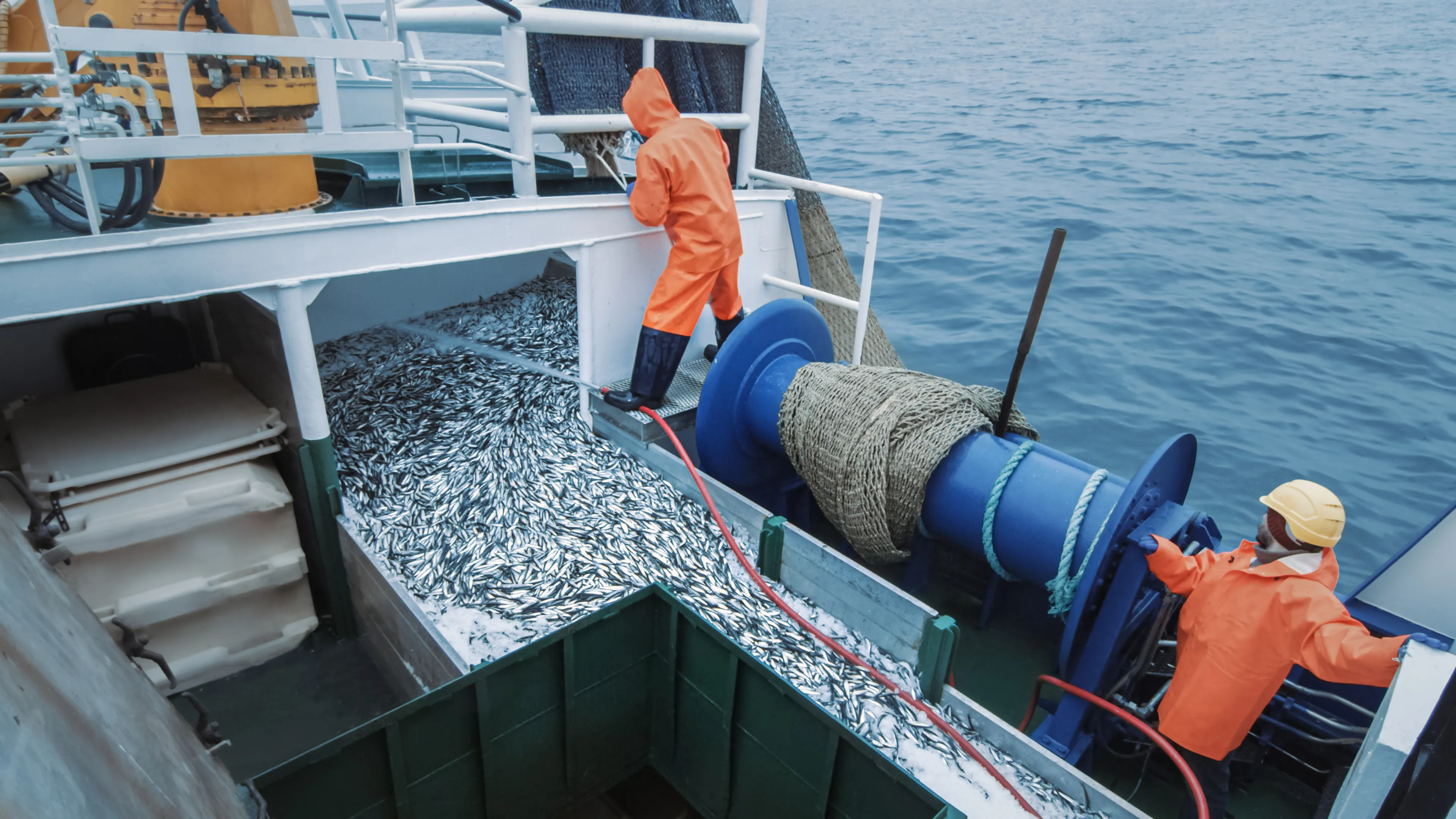 A fishing vessel is at sea with workers in orange waterproof gear handling a large catch of fish being transferred into storage. One worker guides the fish while another stands near a winch system. The blue ocean water is visible in the background.