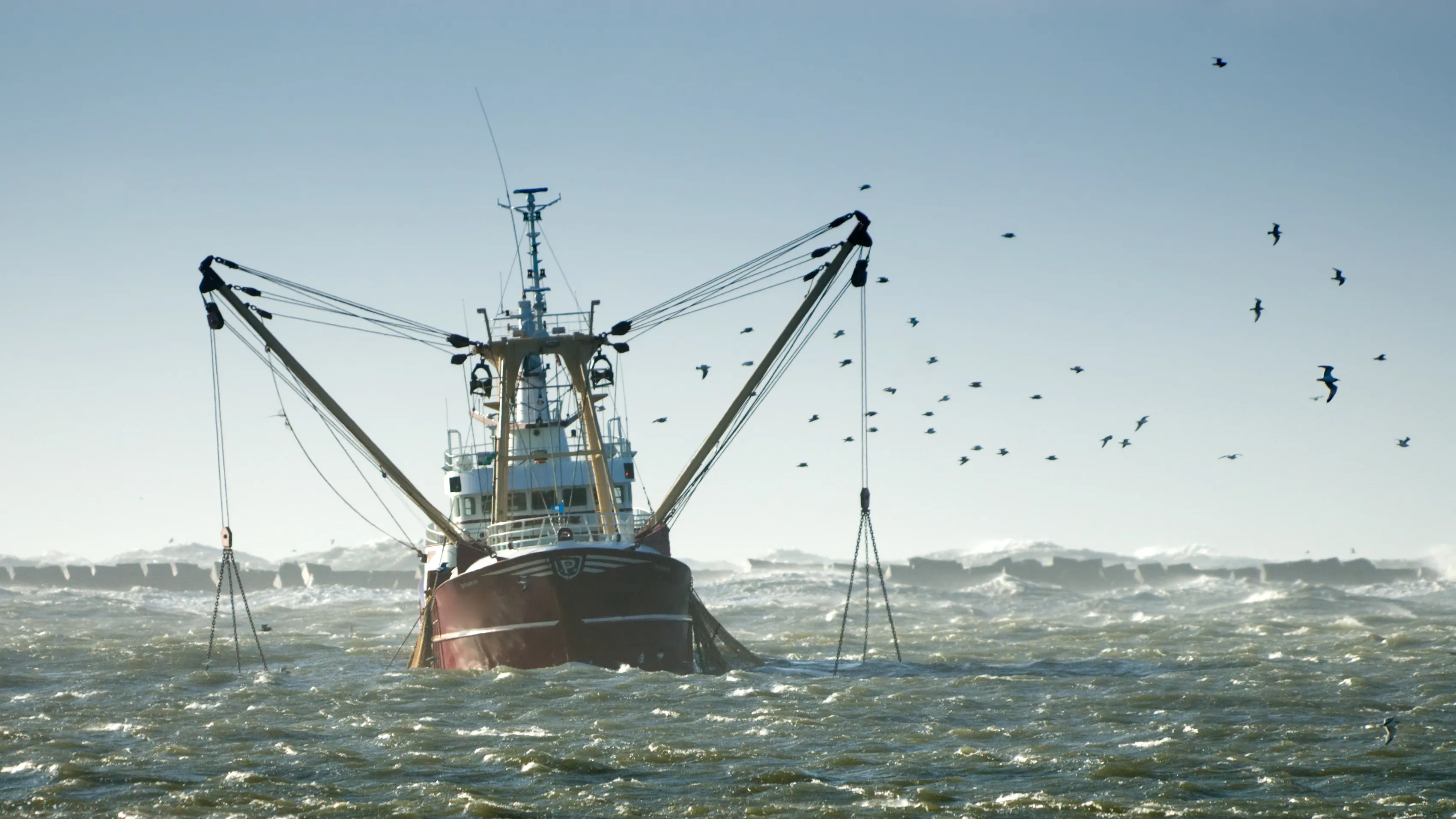 A fishing trawler navigates rough ocean waters with its large fishing arms extended on both sides. Seabirds fly around the vessel, indicating a potential fishing activity. The background features foamy waves and a hazy, overcast sky.
