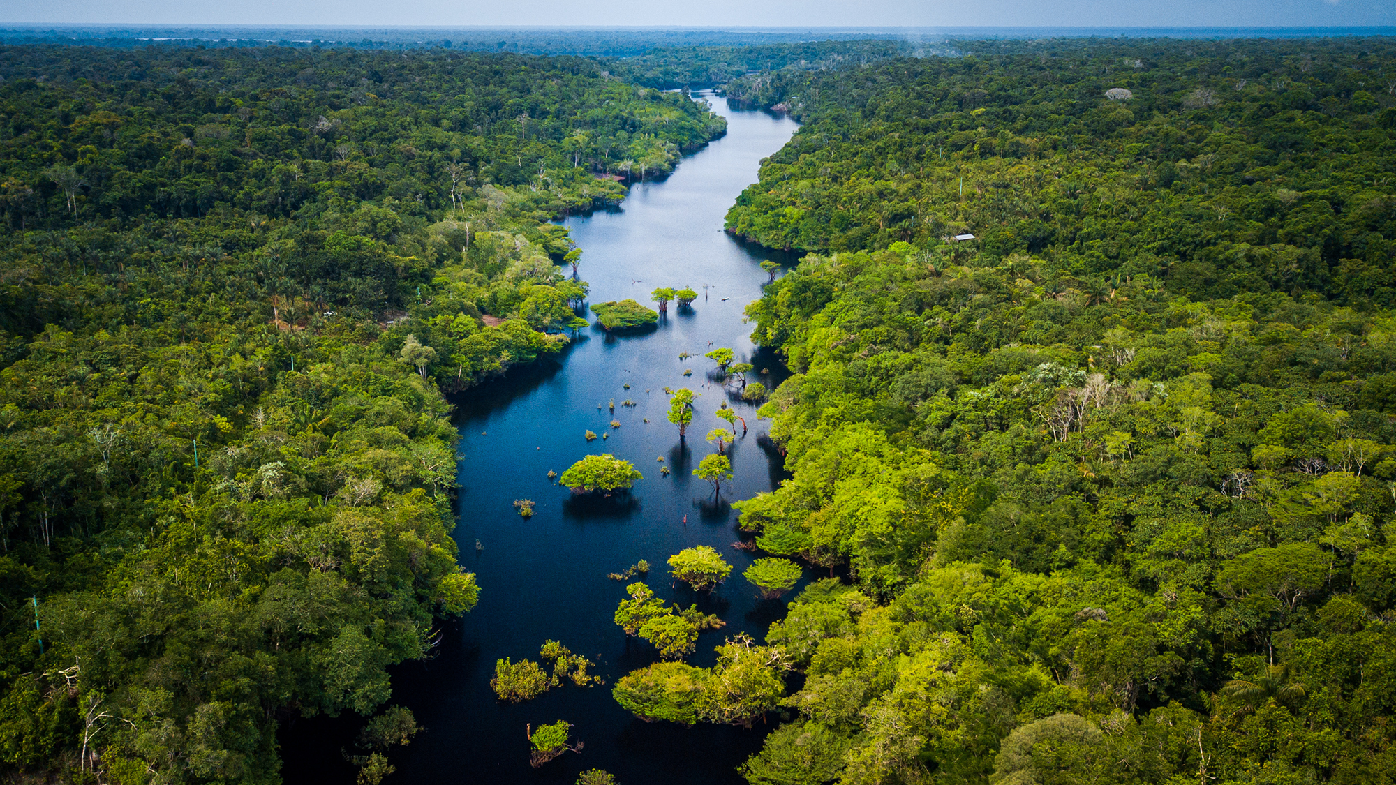 Aerial view of a lush green rainforest with a winding river running through the middle. The landscape is dense with trees and vegetation, stretching to the horizon under a partly cloudy sky. Small islands and plant clusters dot the river.