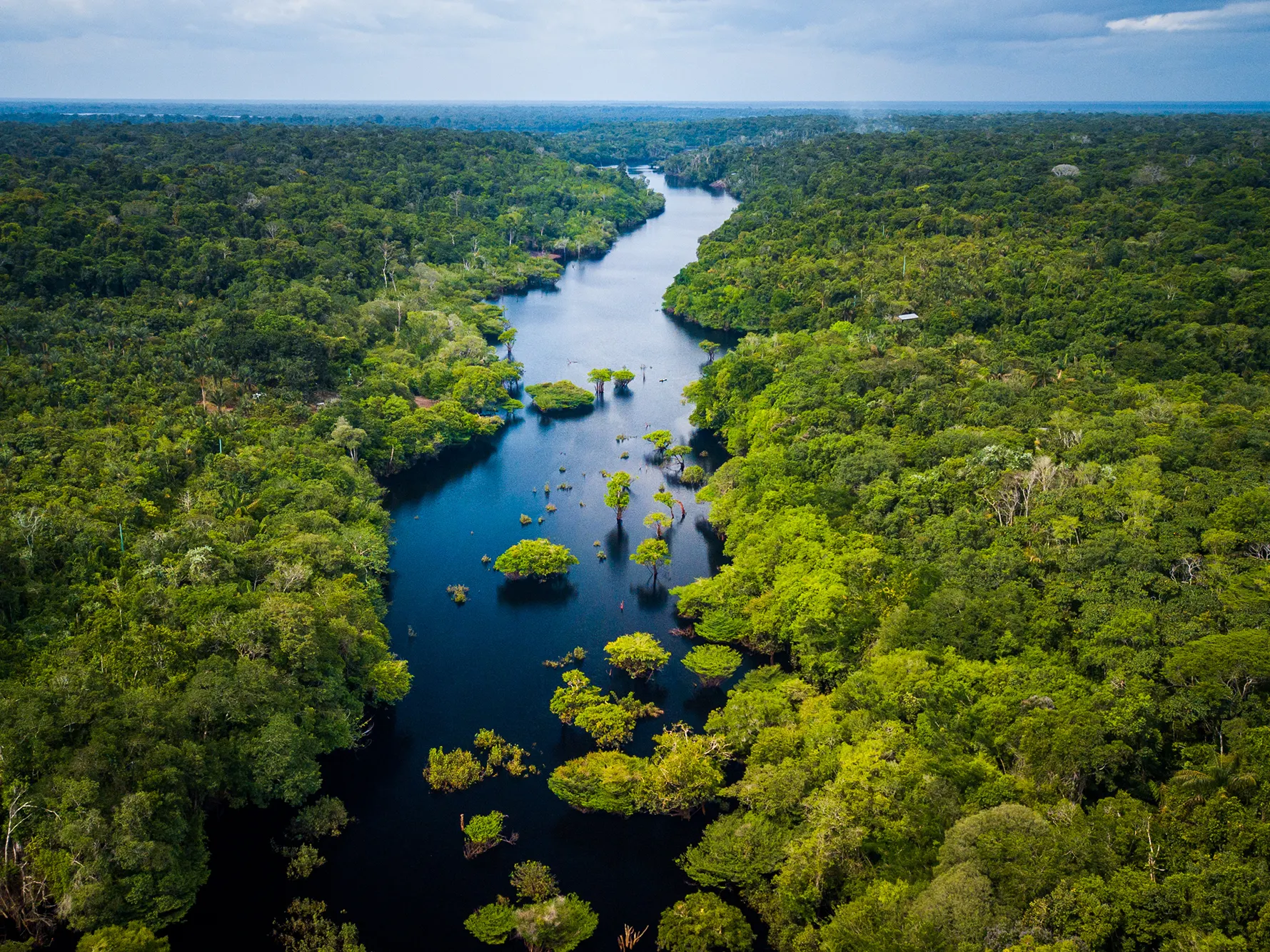 Aerial view of a lush green rainforest with a winding river running through the middle. The landscape is dense with trees and vegetation, stretching to the horizon under a partly cloudy sky. Small islands and plant clusters dot the river.