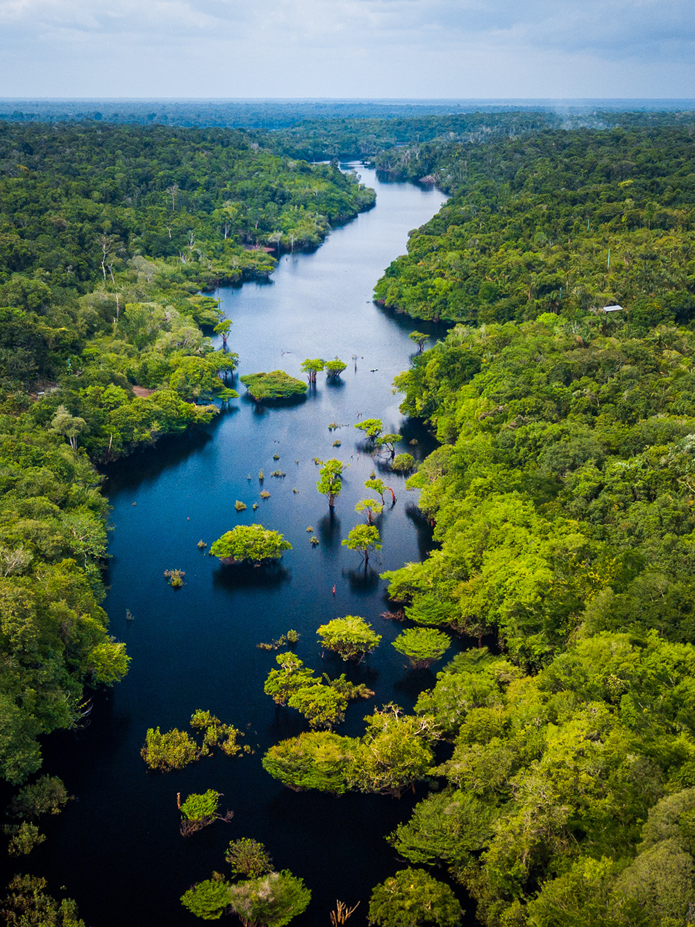 Aerial view of a lush green rainforest with a winding river running through the middle. The landscape is dense with trees and vegetation, stretching to the horizon under a partly cloudy sky. Small islands and plant clusters dot the river.