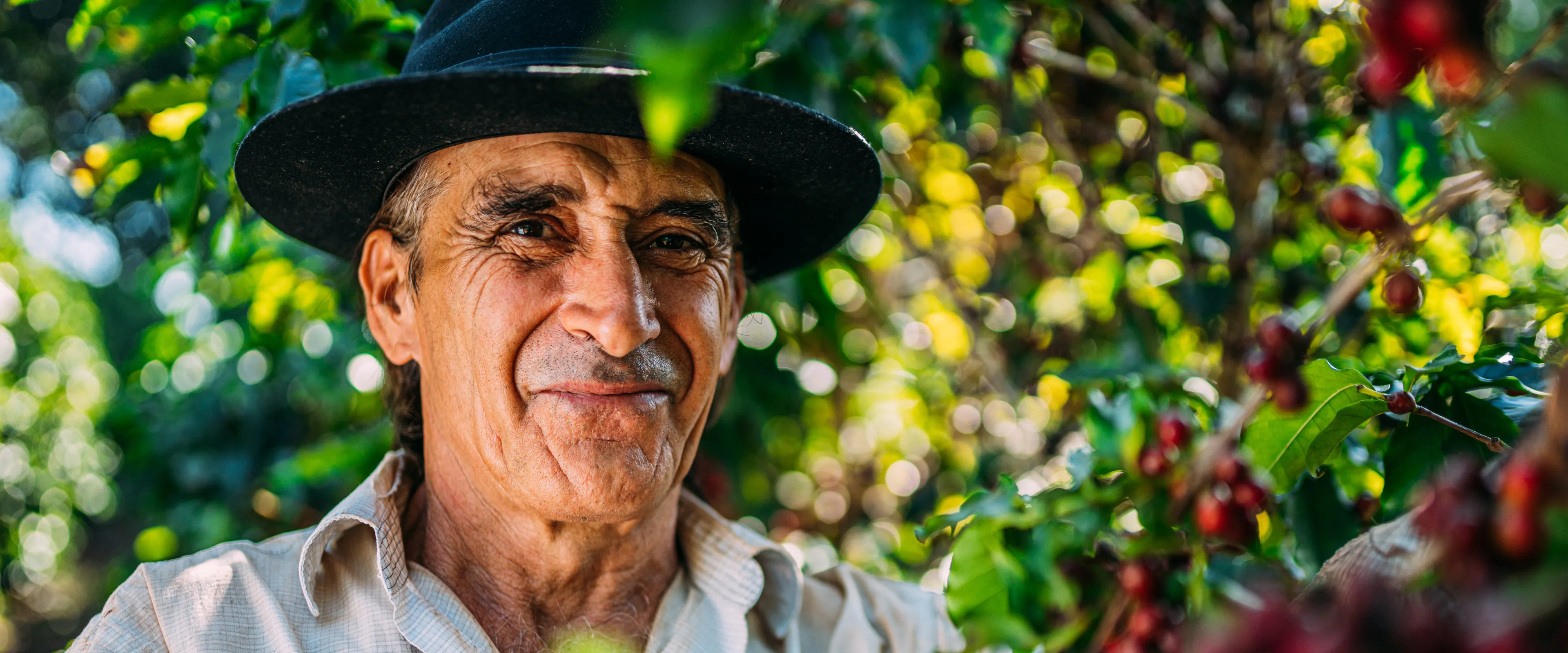 A man wearing a black hat smiles warmly while standing among coffee plants filled with ripe red coffee cherries. Sunlight filters through the lush green leaves, highlighting the vibrant colors of the scene. He appears to be in a coffee plantation setting.