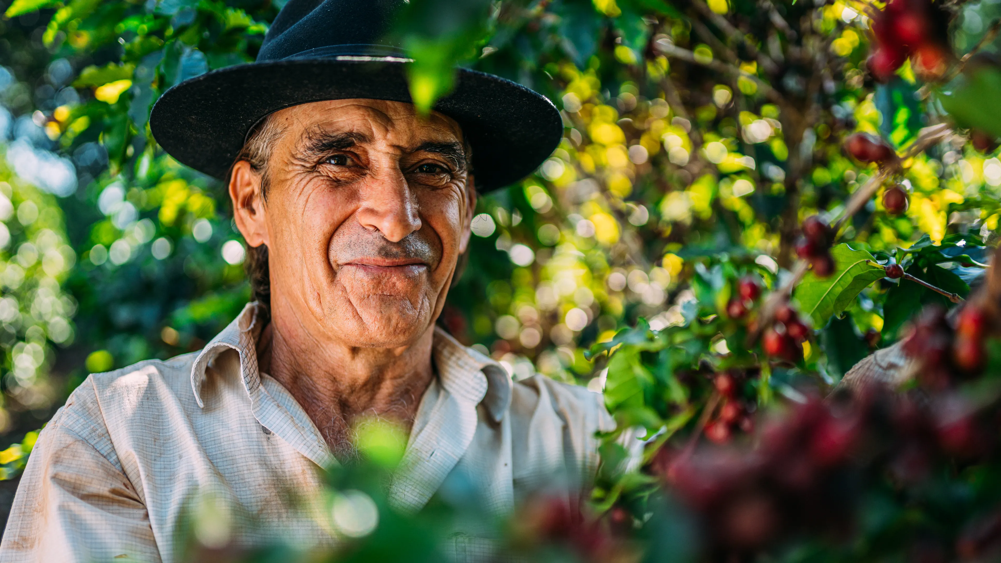 A man wearing a black hat smiles warmly while standing among coffee plants filled with ripe red coffee cherries. Sunlight filters through the lush green leaves, highlighting the vibrant colors of the scene. He appears to be in a coffee plantation setting.