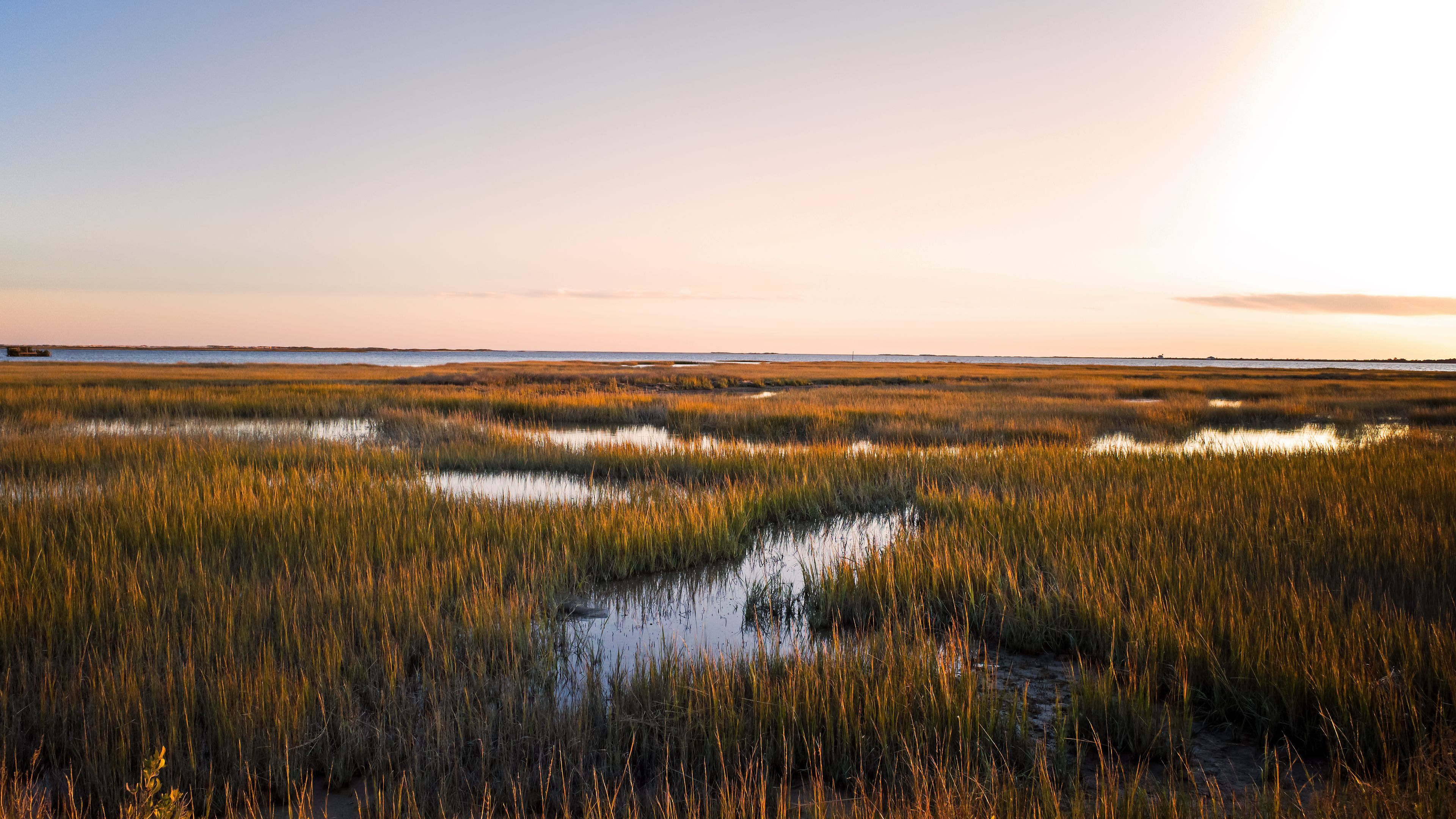 A vast marshland scene under a soft, warm sunset with golden hues. Tall grasses and small patches of water scattered across the landscape. The horizon in the distance meeting the clear sky.
