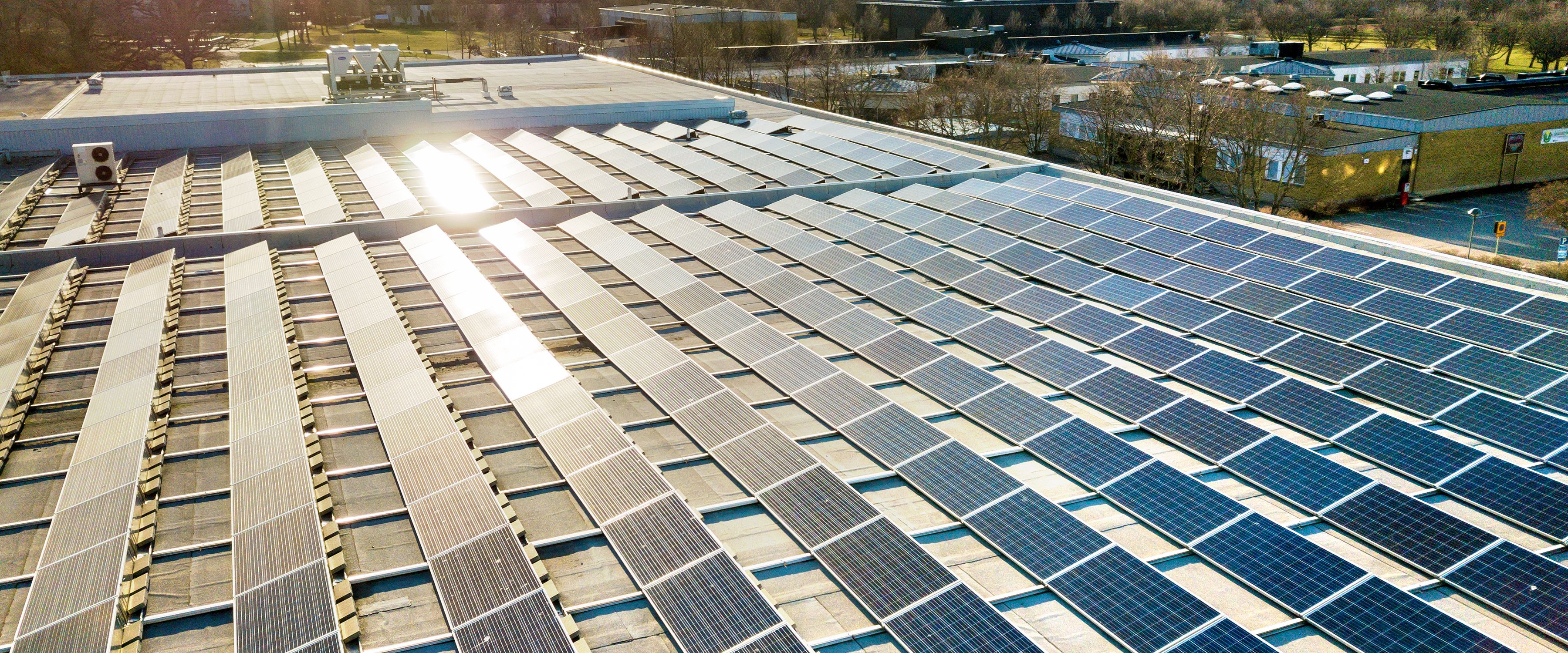 A large rooftop covered entirely with solar panels, glinting under the sunlight. The background shows open spaces and distant buildings. Some trees are visible beyond the structures.