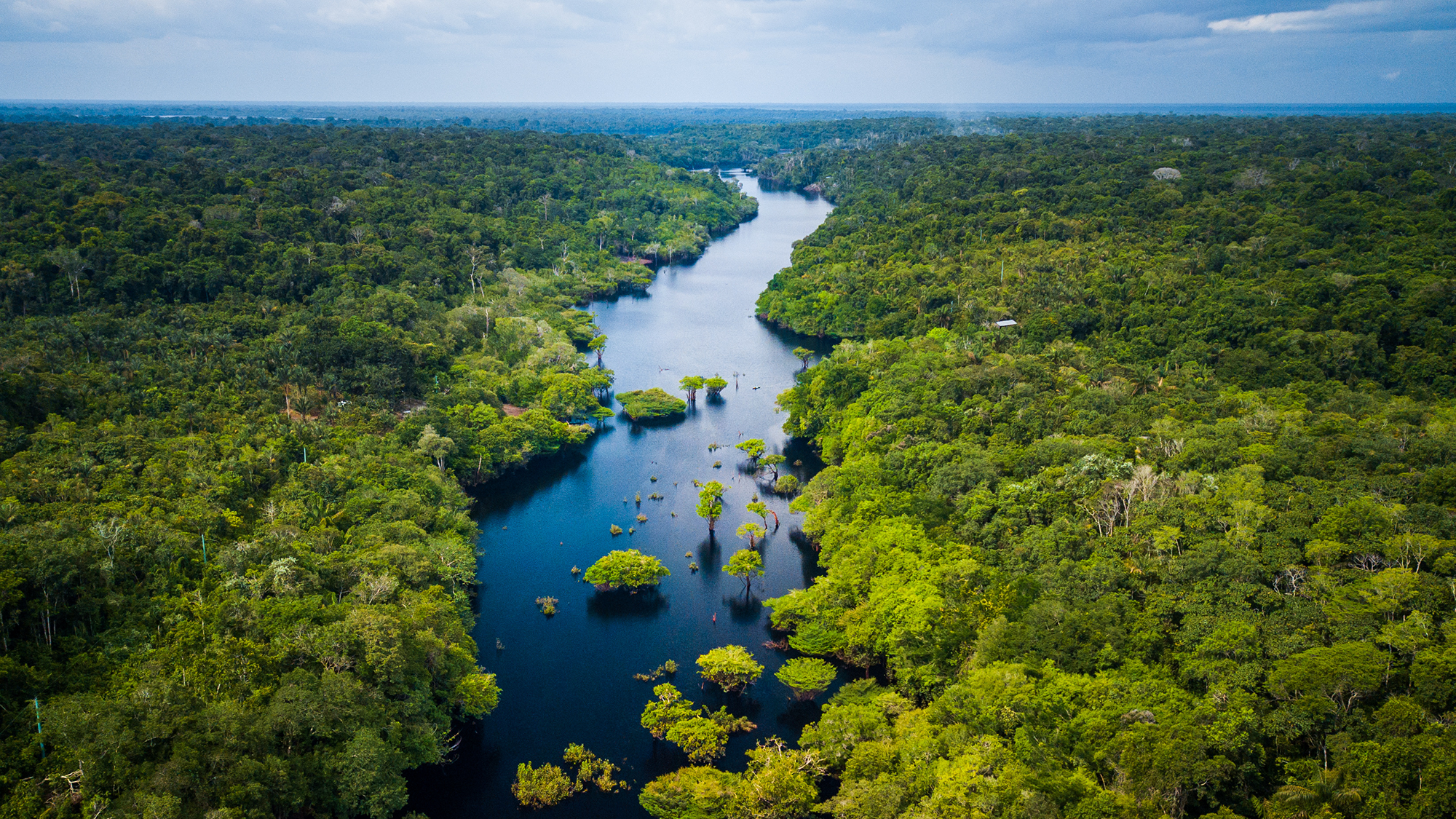 Aerial view of a lush green rainforest with a winding river running through the middle. The landscape is dense with trees and vegetation, stretching to the horizon under a partly cloudy sky. Small islands and plant clusters dot the river.