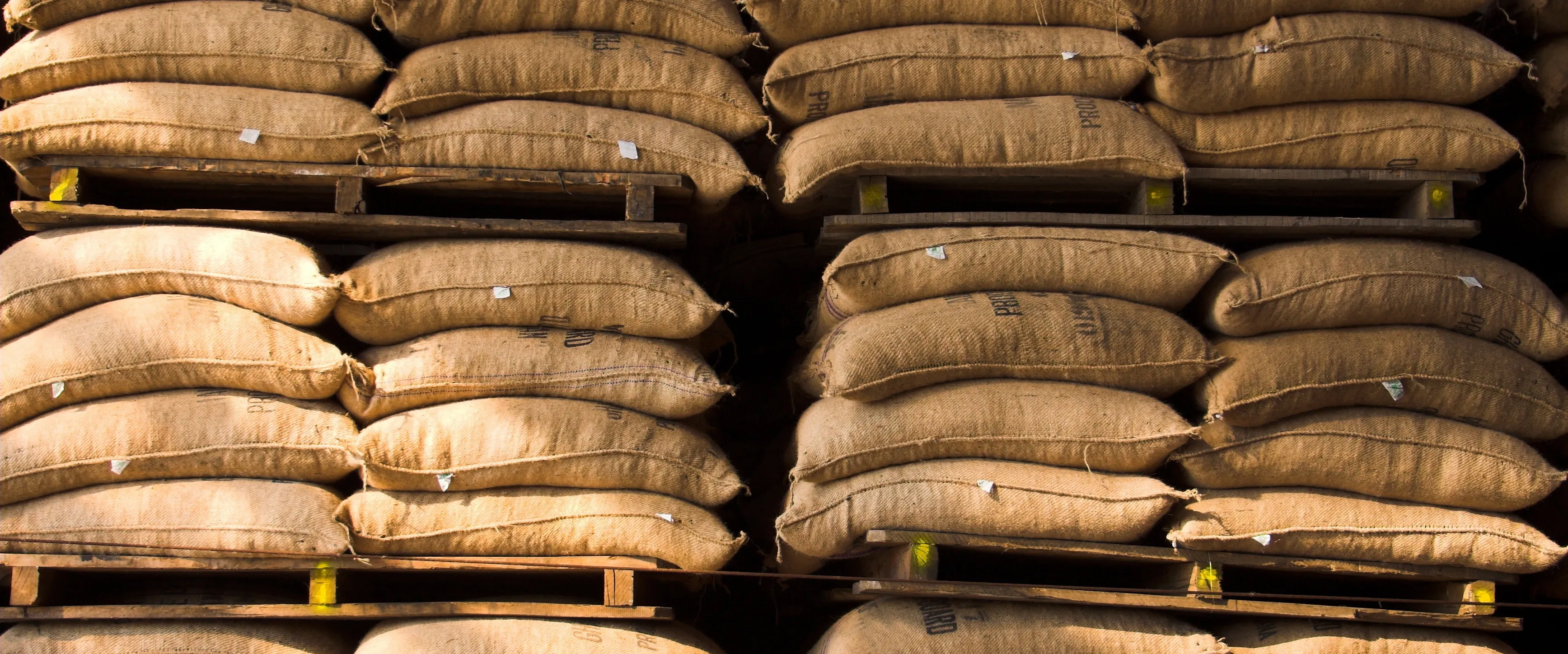 Stacks of large burlap sacks filled with goods are neatly arranged on wooden pallets in a warehouse. The sacks are uniform in size and color, creating an organized and symmetrical appearance. The scene is well-lit, emphasizing the texture of the fabric.