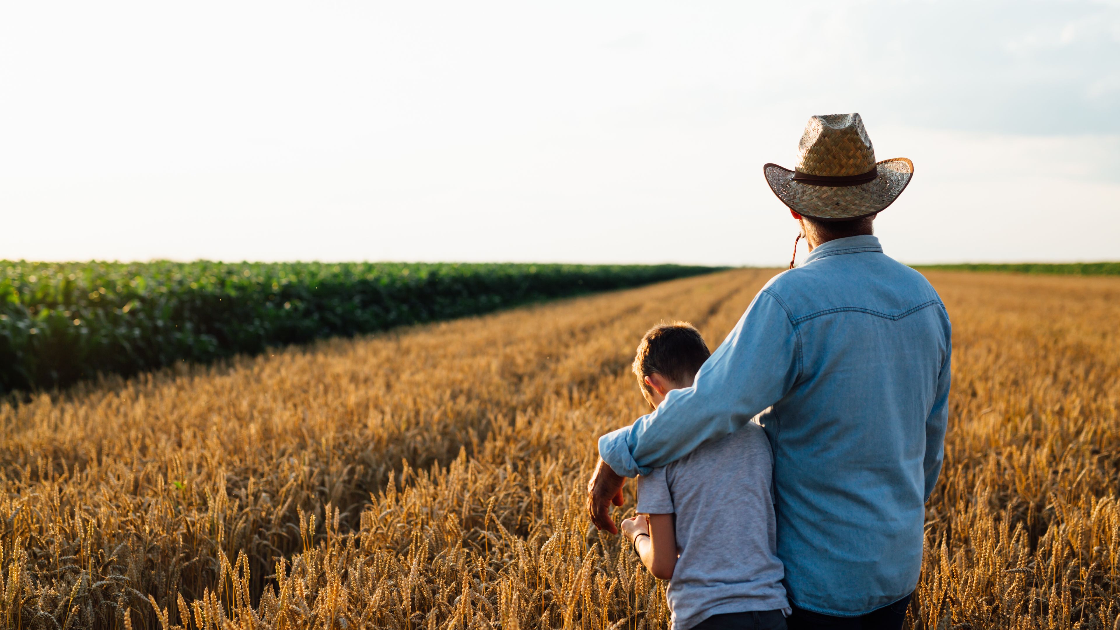 A man wearing a straw hat and denim shirt stands in a wheat field with his arm around a child. The pair faces away from the camera, gazing toward the horizon. Green crops are visible in the distance under a bright sky.