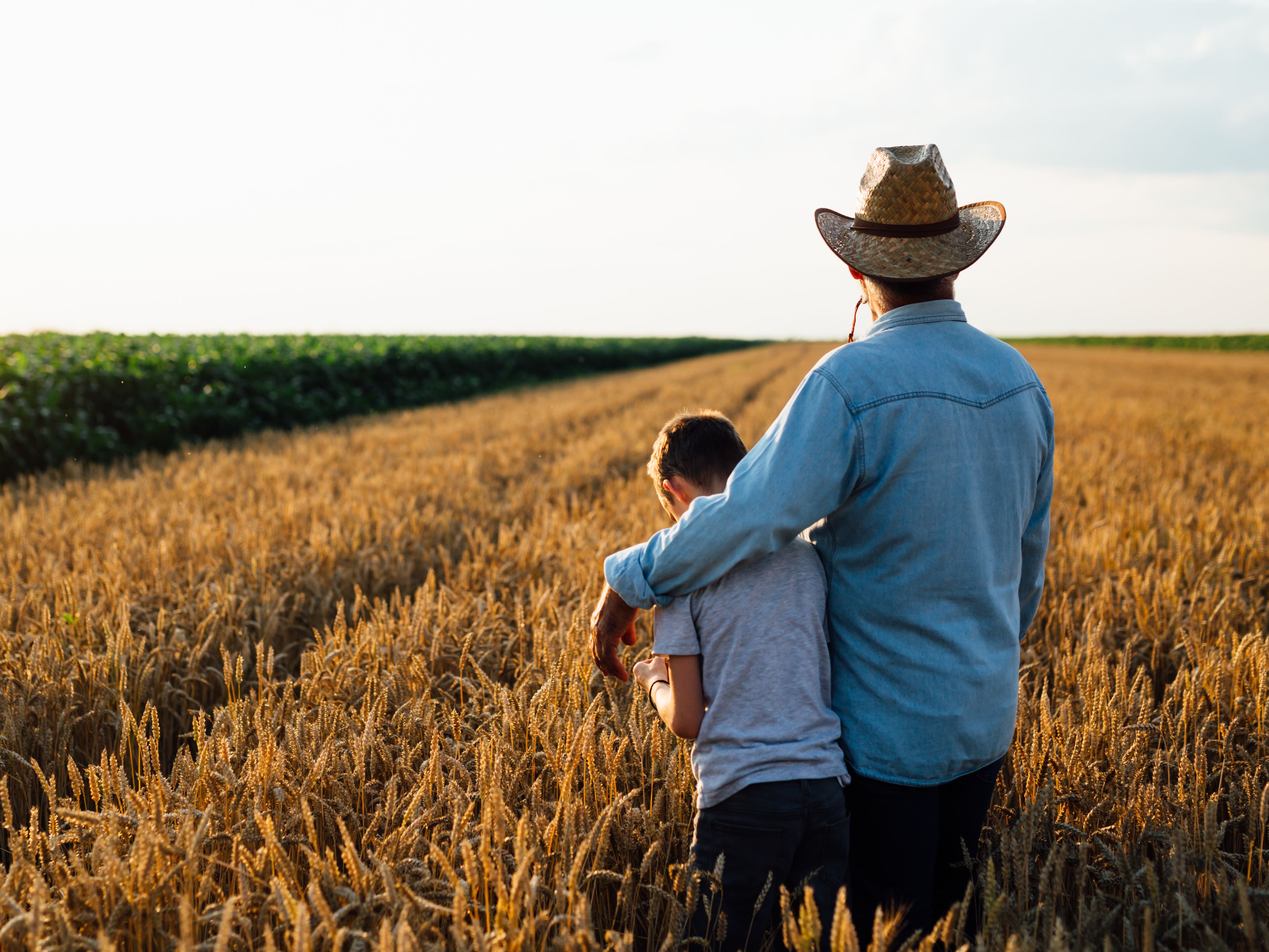 A man wearing a straw hat and denim shirt stands in a wheat field with his arm around a child. The pair faces away from the camera, gazing toward the horizon. Green crops are visible in the distance under a bright sky.