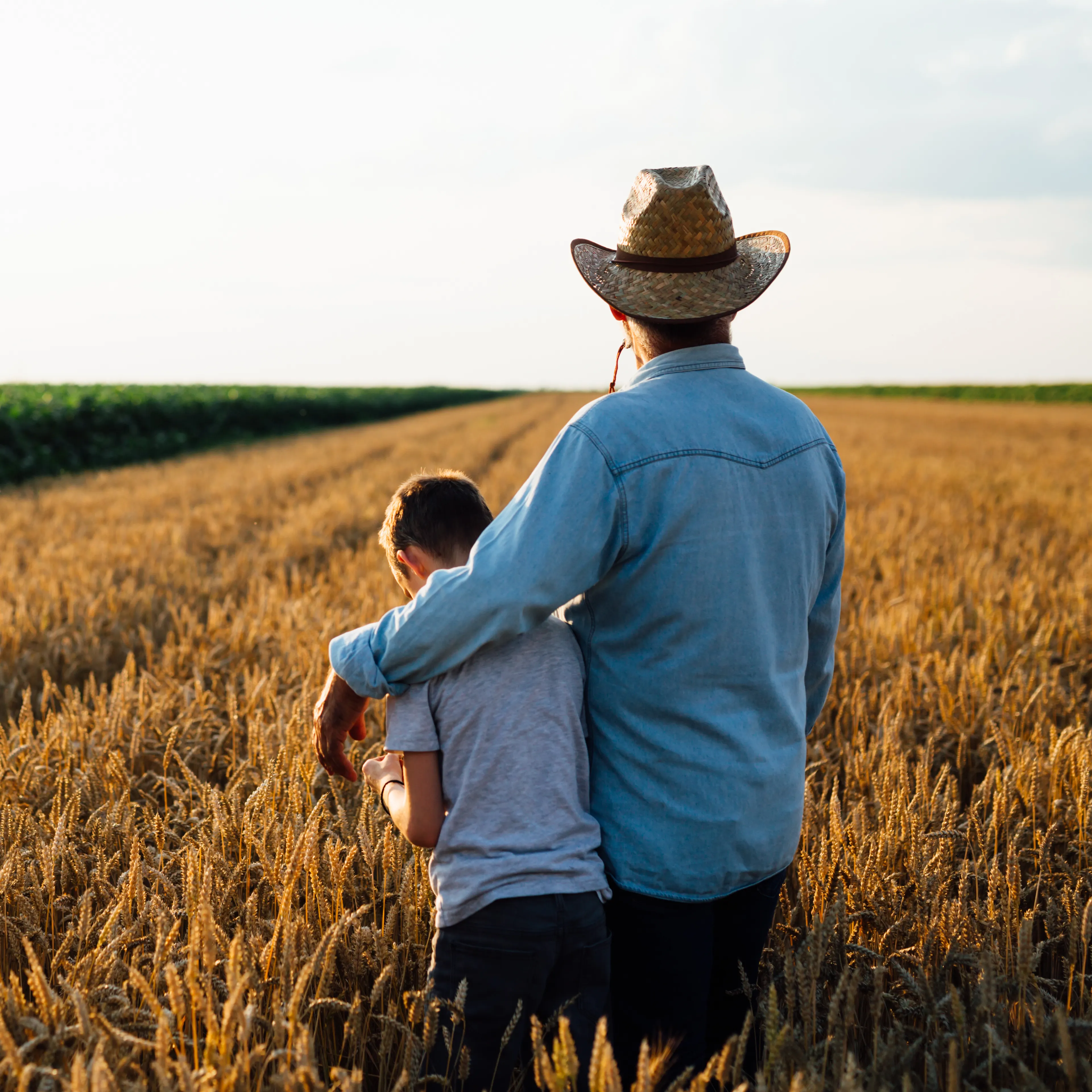 A man wearing a straw hat and denim shirt stands in a wheat field with his arm around a child. The pair faces away from the camera, gazing toward the horizon. Green crops are visible in the distance under a bright sky.