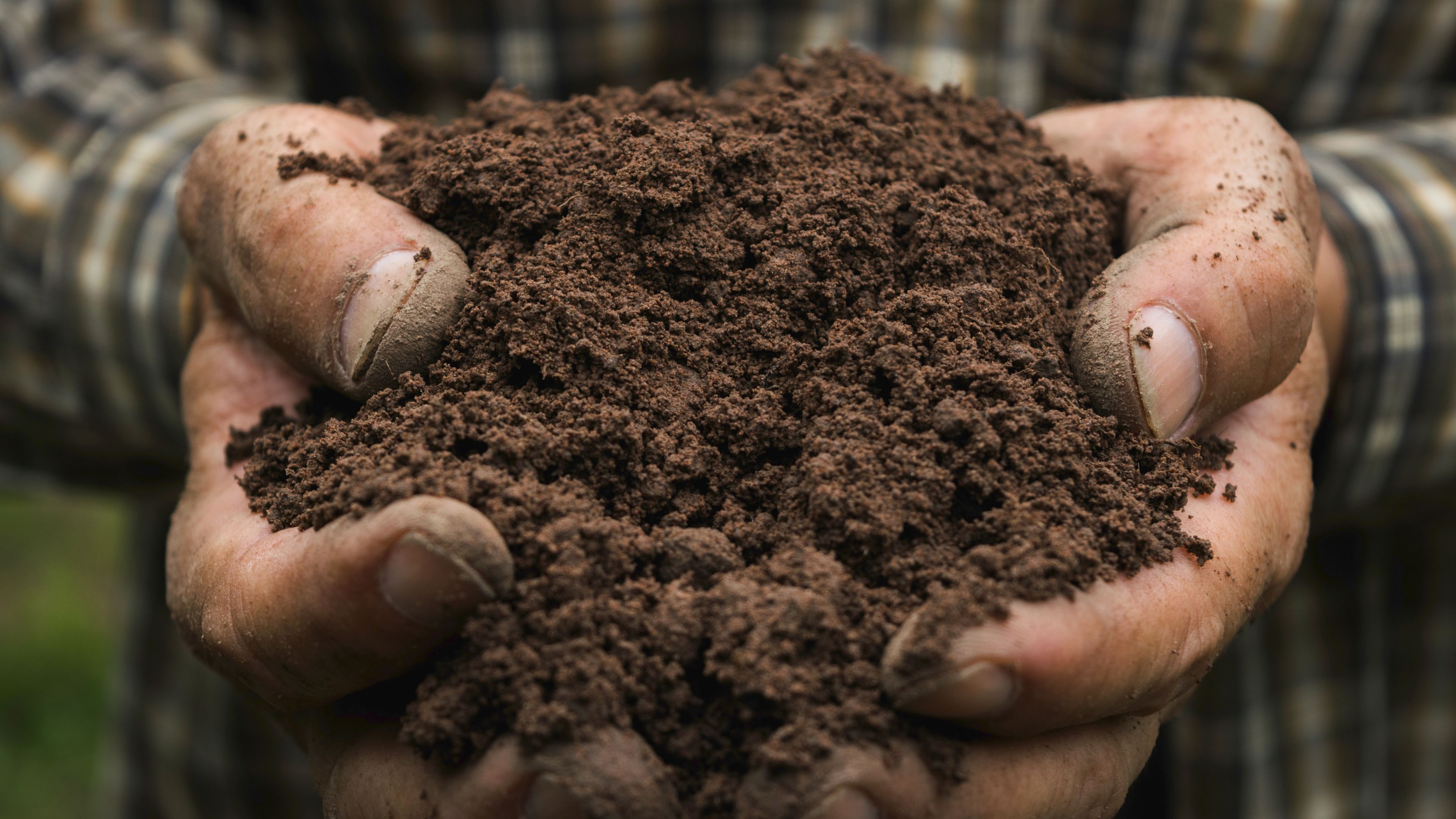 A close-up of two hands holding a mound of dark, rich soil. The hands are rough and dirt-covered, suggesting gardening or farming. A plaid shirt is partially visible in the background.