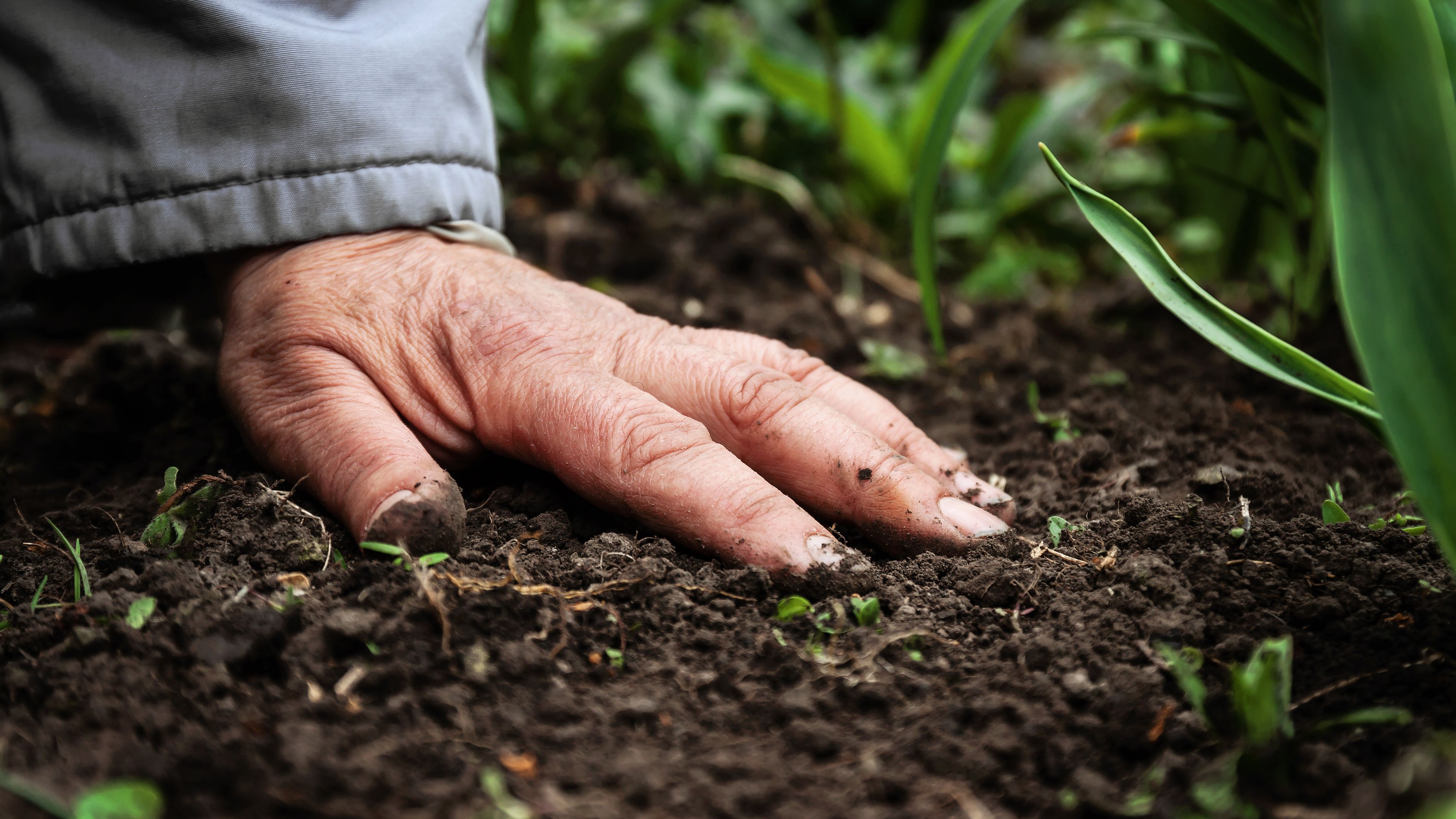A close-up of a person's hand resting on soil in a garden. Green sprouts and plants are visible nearby, suggesting gardening or planting activity. The hand appears dirty, emphasizing interaction with the earth.