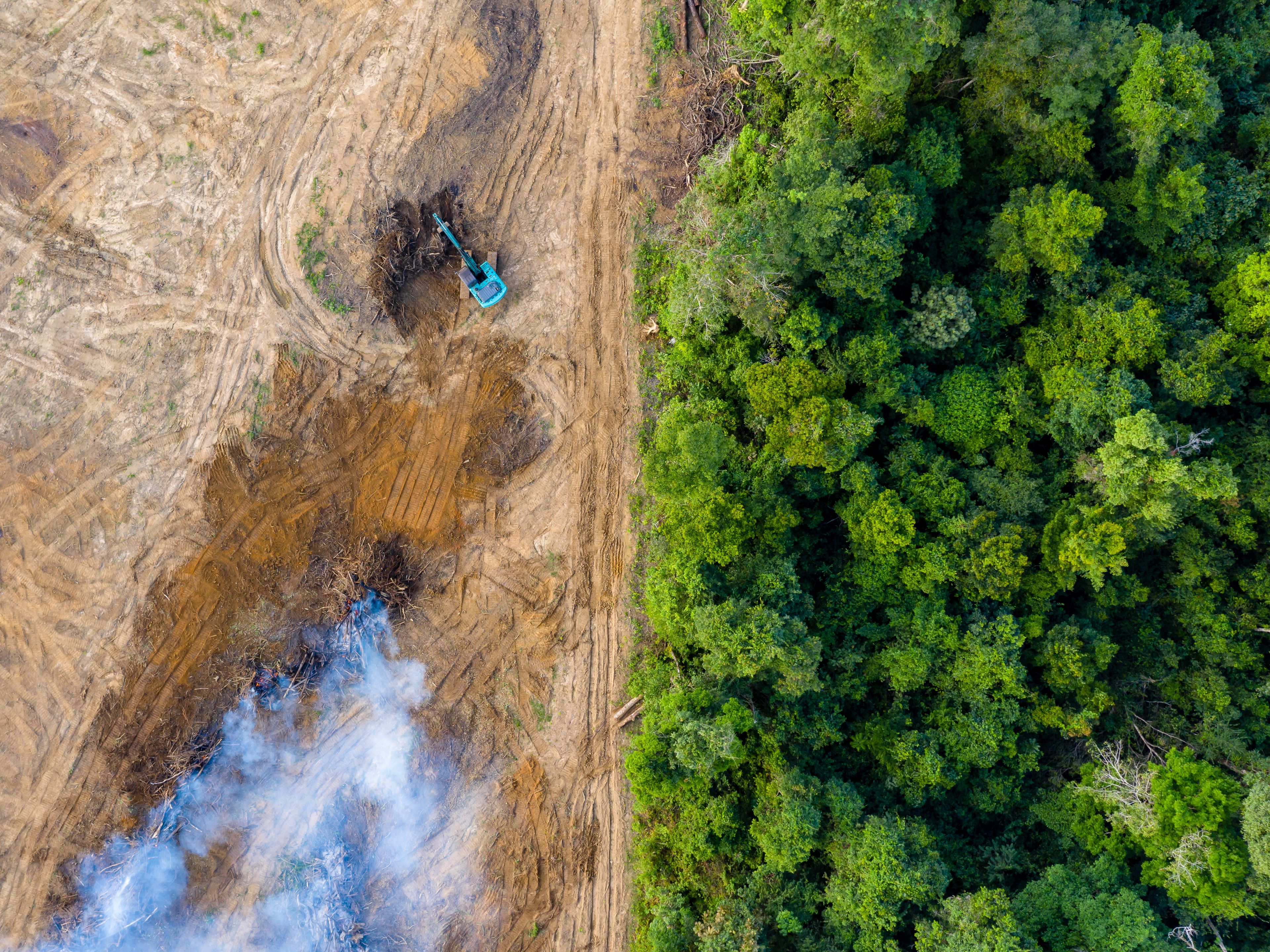 An aerial view showing deforestation, with a stark contrast between a cleared, barren area and dense green forest. Smoke rises from burned vegetation, and a blue excavator is visible working in the cleared section.