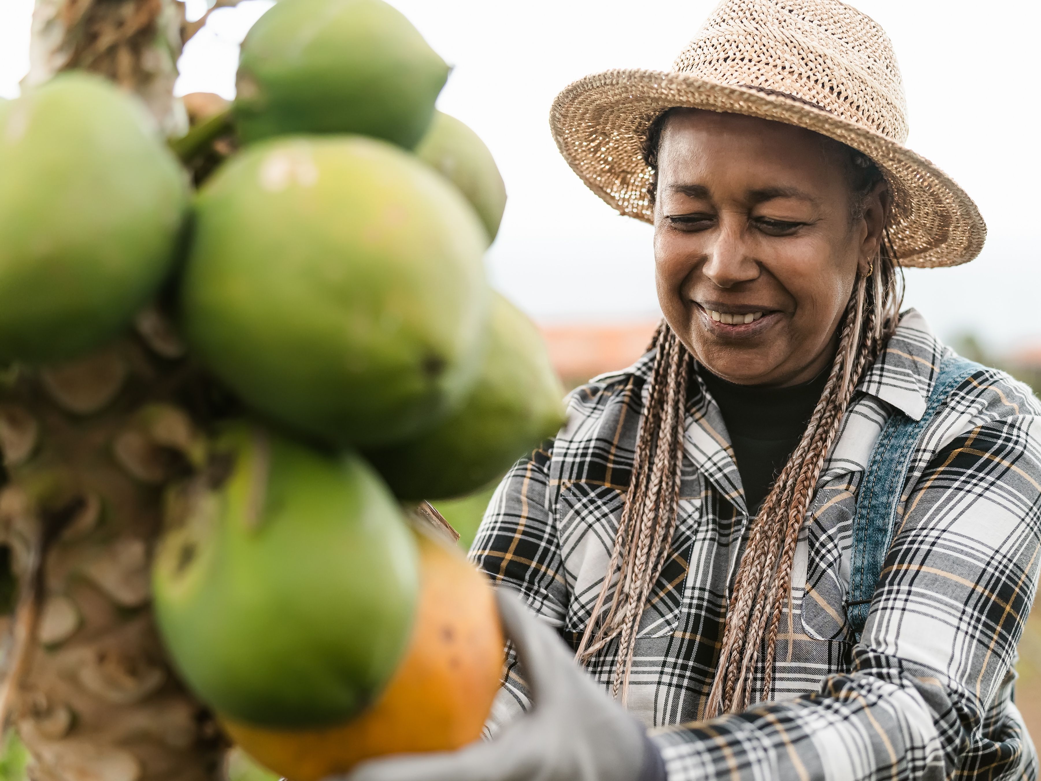 A woman wearing a straw hat, plaid shirt, and overalls is harvesting fruit from a tree. She is smiling while holding a ripe yellow fruit among several green ones. The background shows a blurred outdoor setting with fields.