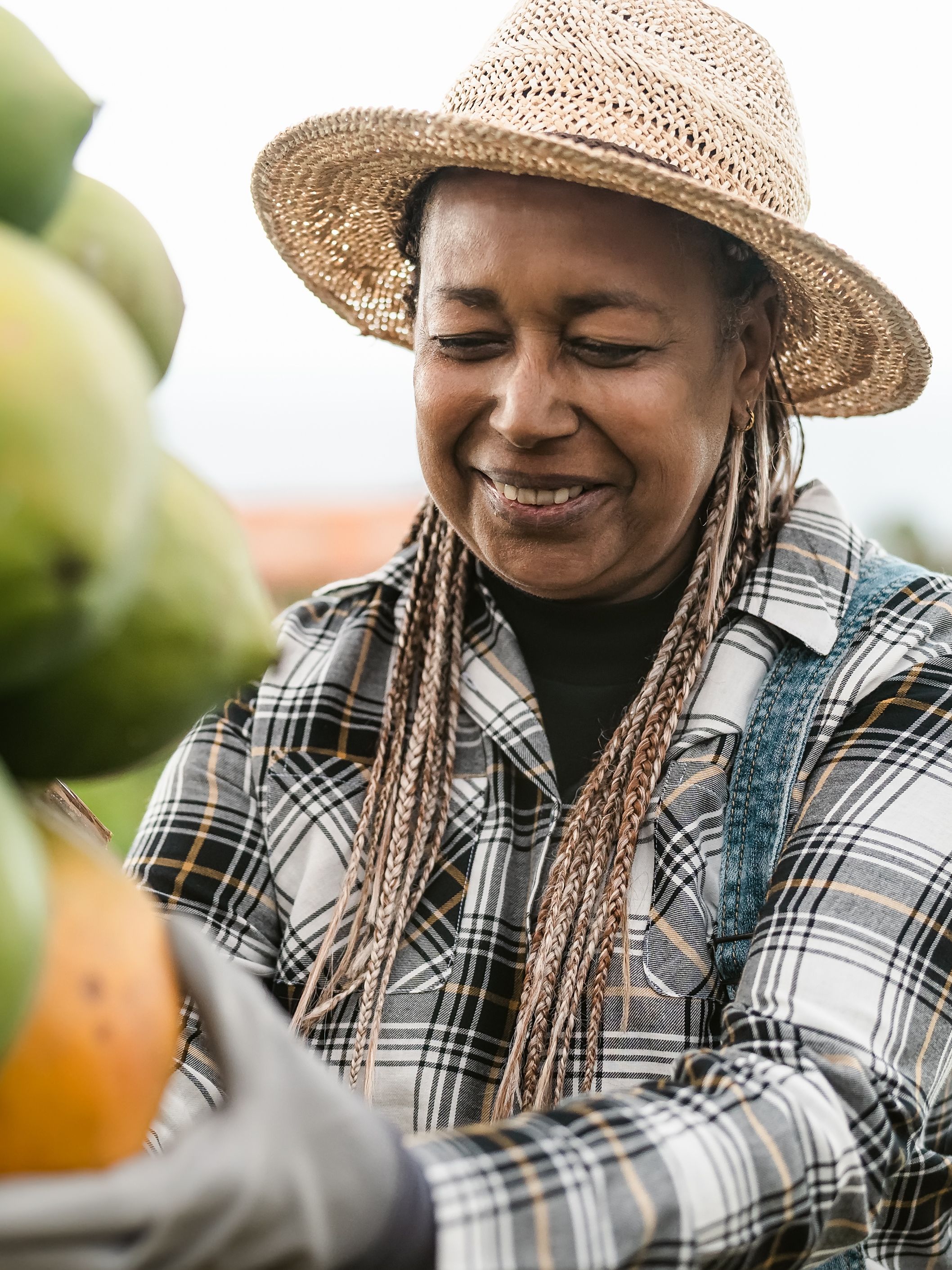 A woman wearing a straw hat, plaid shirt, and overalls is harvesting fruit from a tree. She is smiling while holding a ripe yellow fruit among several green ones. The background shows a blurred outdoor setting with fields.