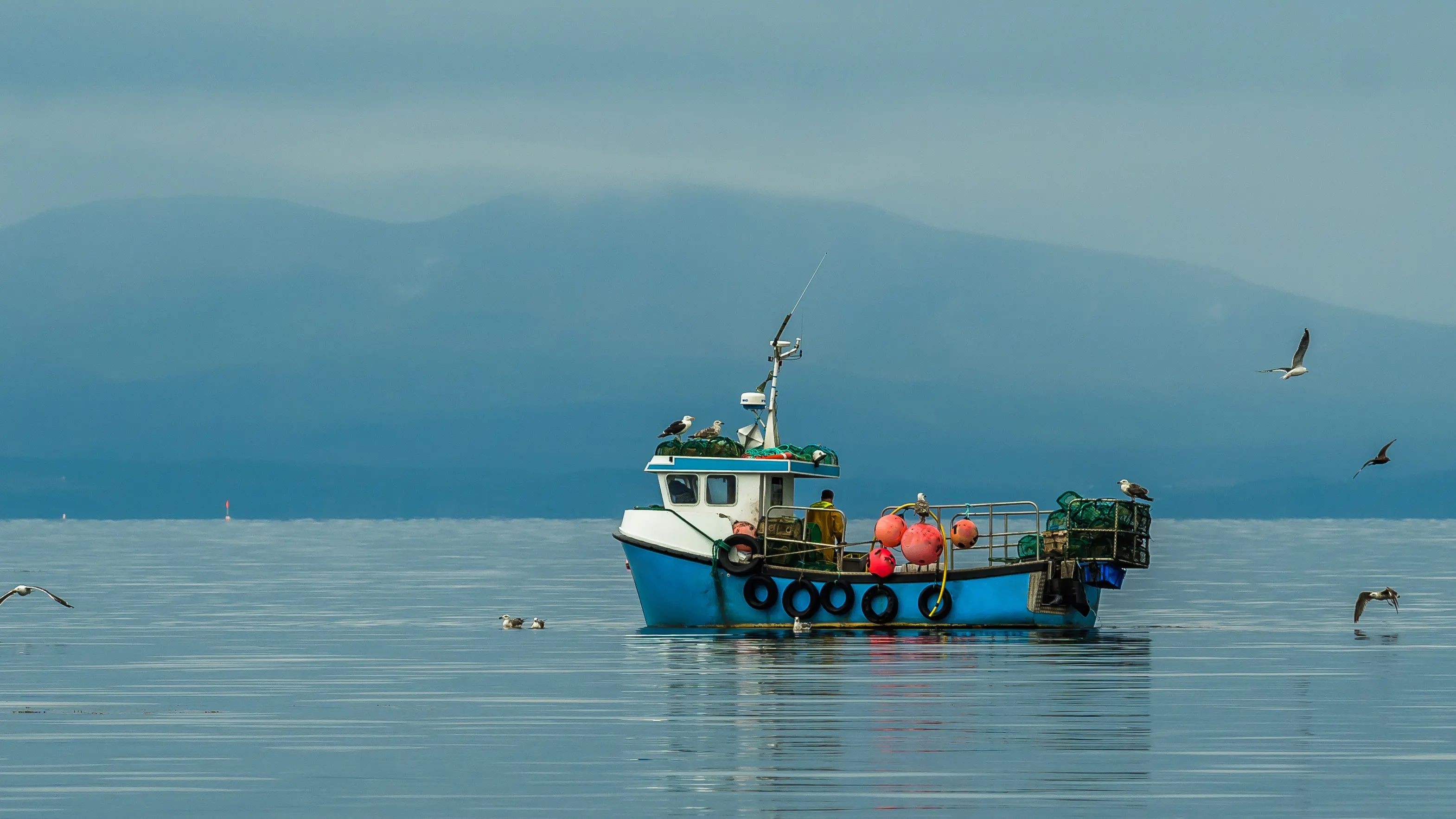 A small fishing boat with colorful buoys floats on a calm body of water, surrounded by seagulls. Misty mountains are visible in the hazy background under an overcast sky. The scene conveys a peaceful fishing environment.